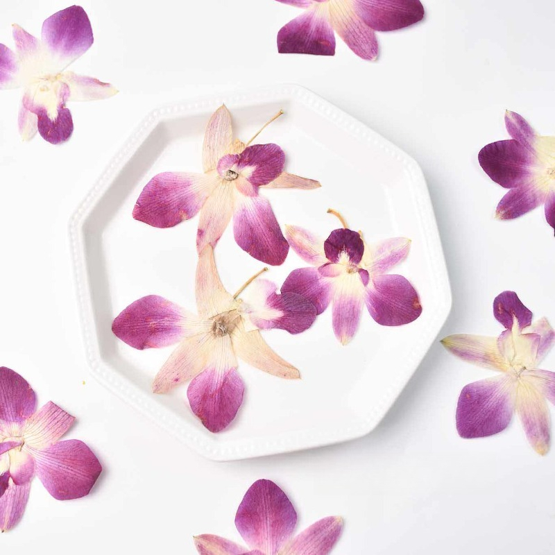 4 adet, Gerçek Preslenmiş Kele - Resin Craft Ideas incelemesi ve fiyatı