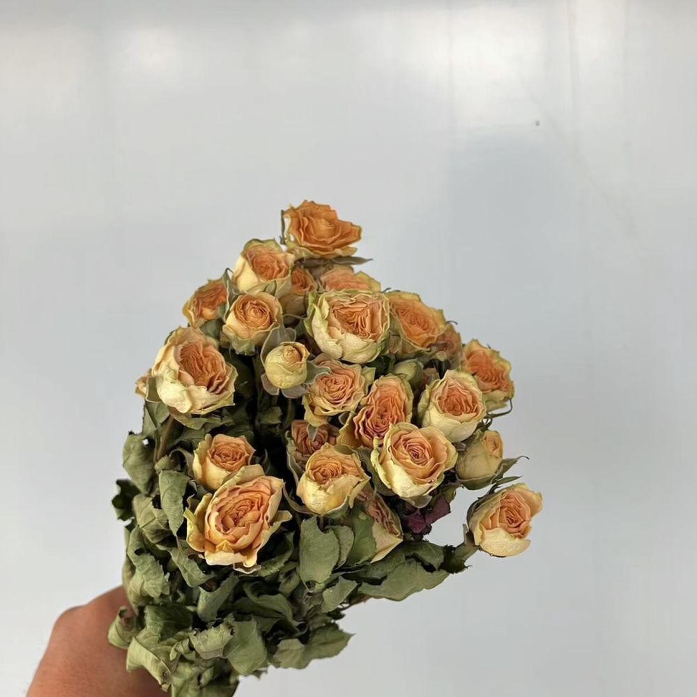 Gerçek, Kurutulmuş ve Korunmuş - Resin Craft Ideas incelemesi ve fiyatı