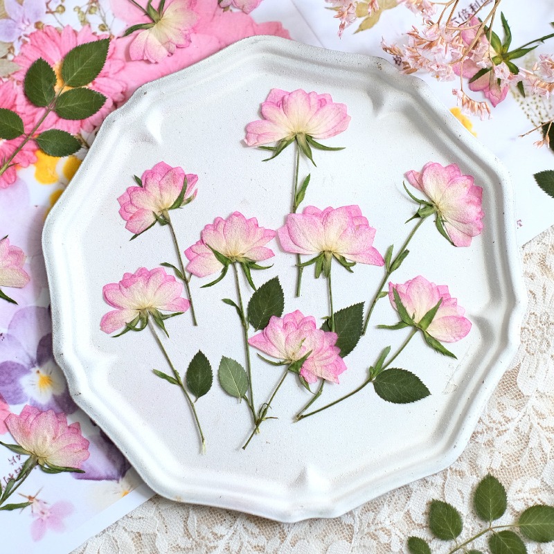 12 adet, Telefon Kılıfı DIY Pe - Resin Craft Ideas incelemesi ve fiyatı